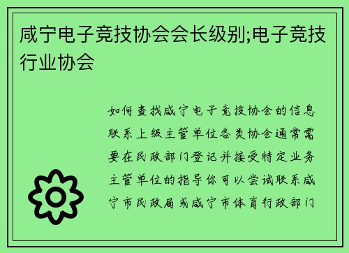 咸宁电子竞技协会会长级别;电子竞技行业协会